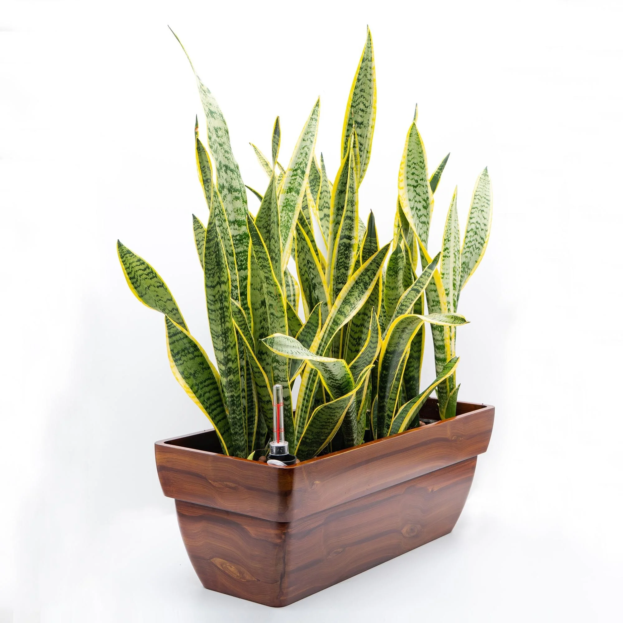 7.8 inch Plastic Self-watering Planter Pot