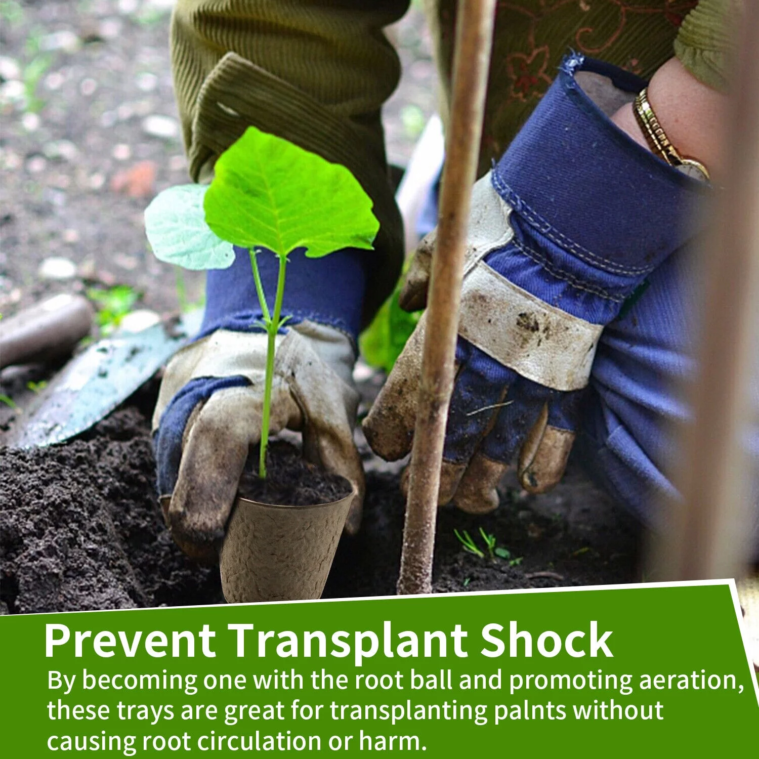 50-100PCS Biodegradable Nursery Pots Garden Plant Grow Seedling Planting Pots US