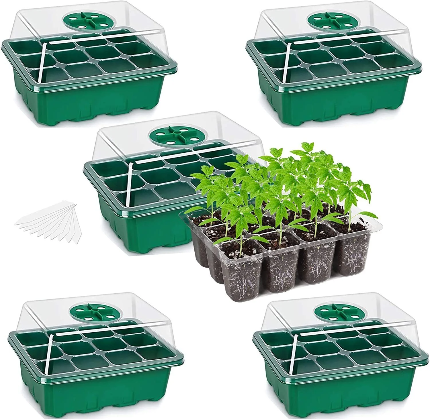 Plant Seed Starter Tray with Dome Greenhouse Germination Kit - Set of 5
