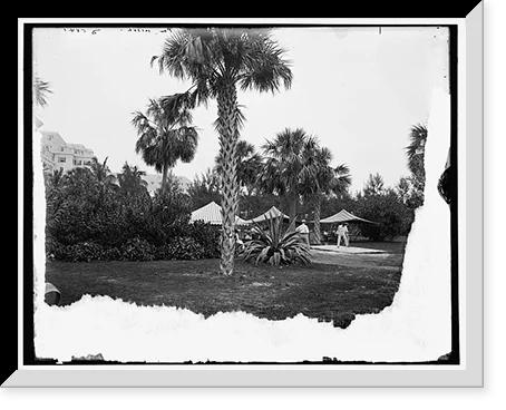 Historic Framed Print, [Golf links, Hotel Royal Poinciana, Palm Beach, Fla.], 17-7/8