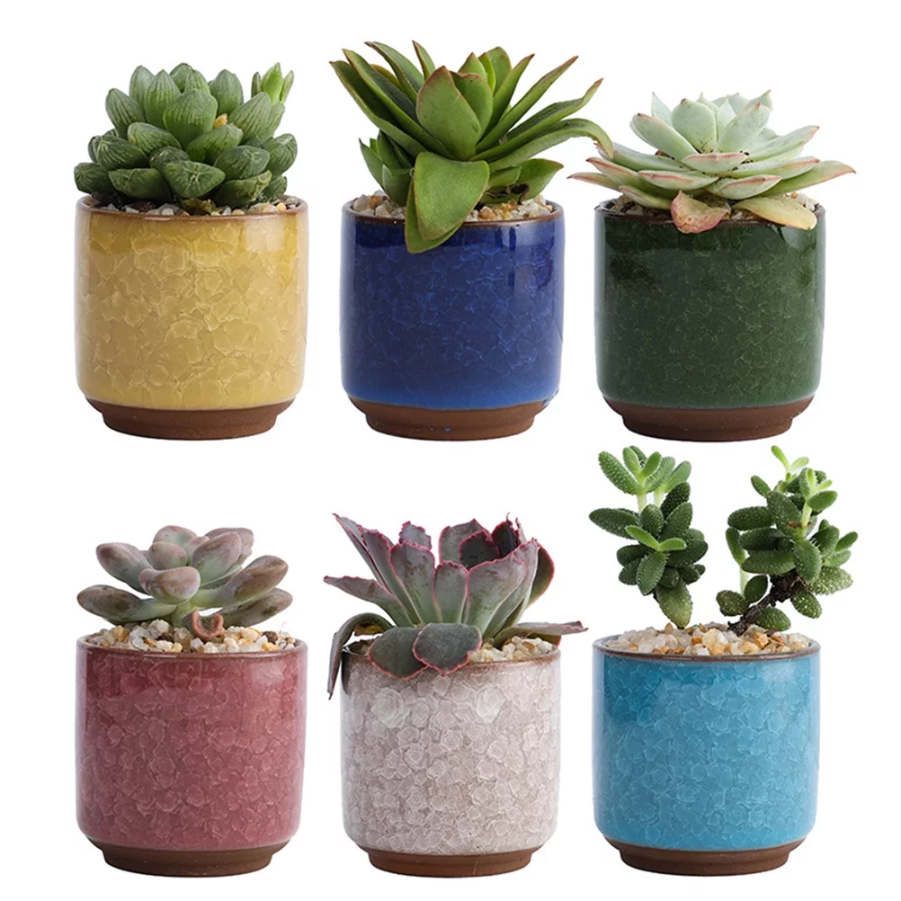 Gongxipen 6pcs Ceramic Succulent Planter Pots Coloured Ceramic Flower Pot for Home Office Decor (Dark Blue, Red, White, Yellow, Green, Light Blue without Plant)