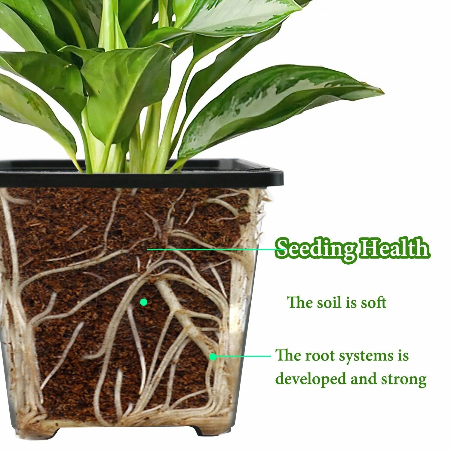 10pcs Black Square Plastic Seedling Pots Seed Pots Flower Pots Transplant Pots