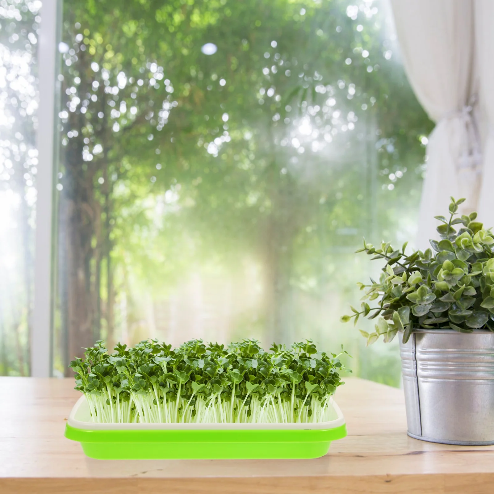 Gongxipen 3Pcs Premium Nursery Tray Hydroponic Germinating Tray Garden Plastic Nursery Tray