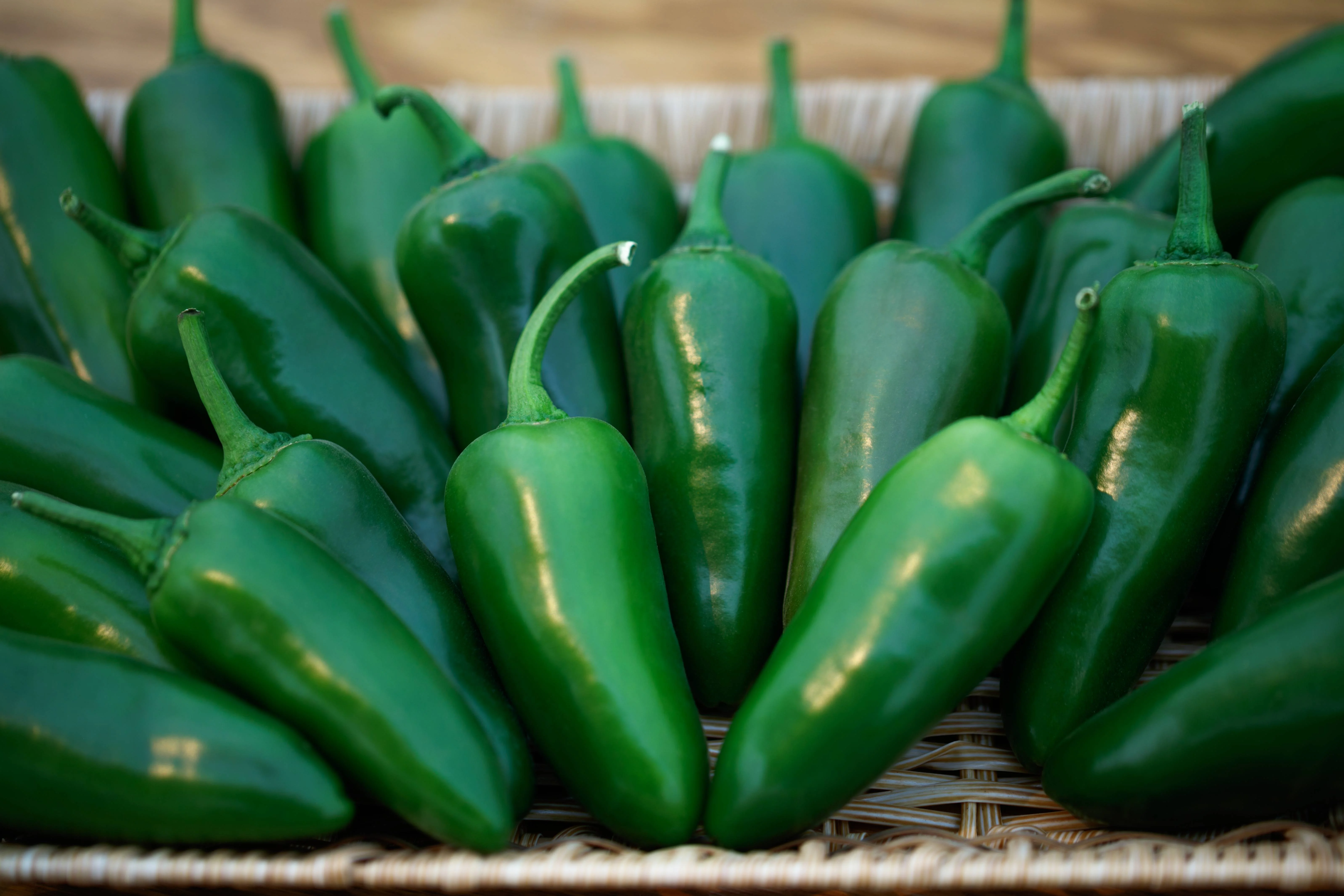 Megatron F1 Jalapenõ Seeds