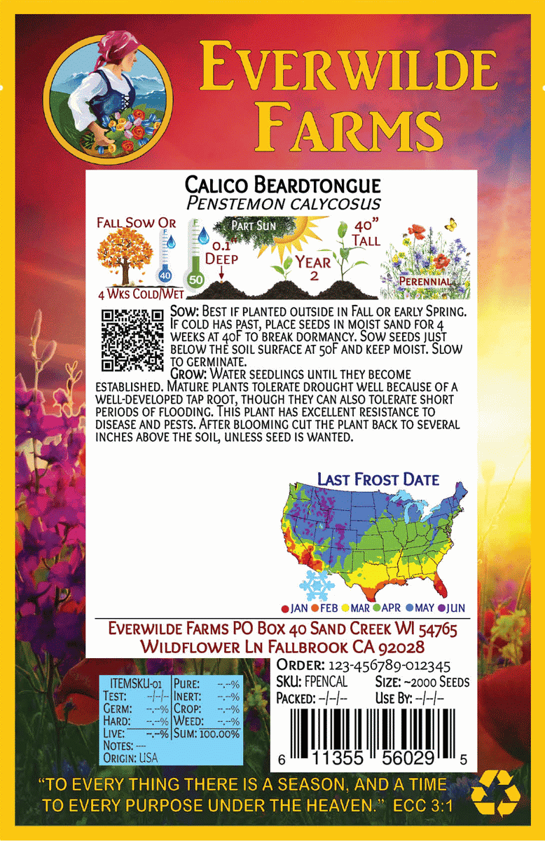 Everwilde Farms - 1000 Calico Beardtongue Native Wildflower Seeds - Gold Vault Jumbo Bulk Seed Packet