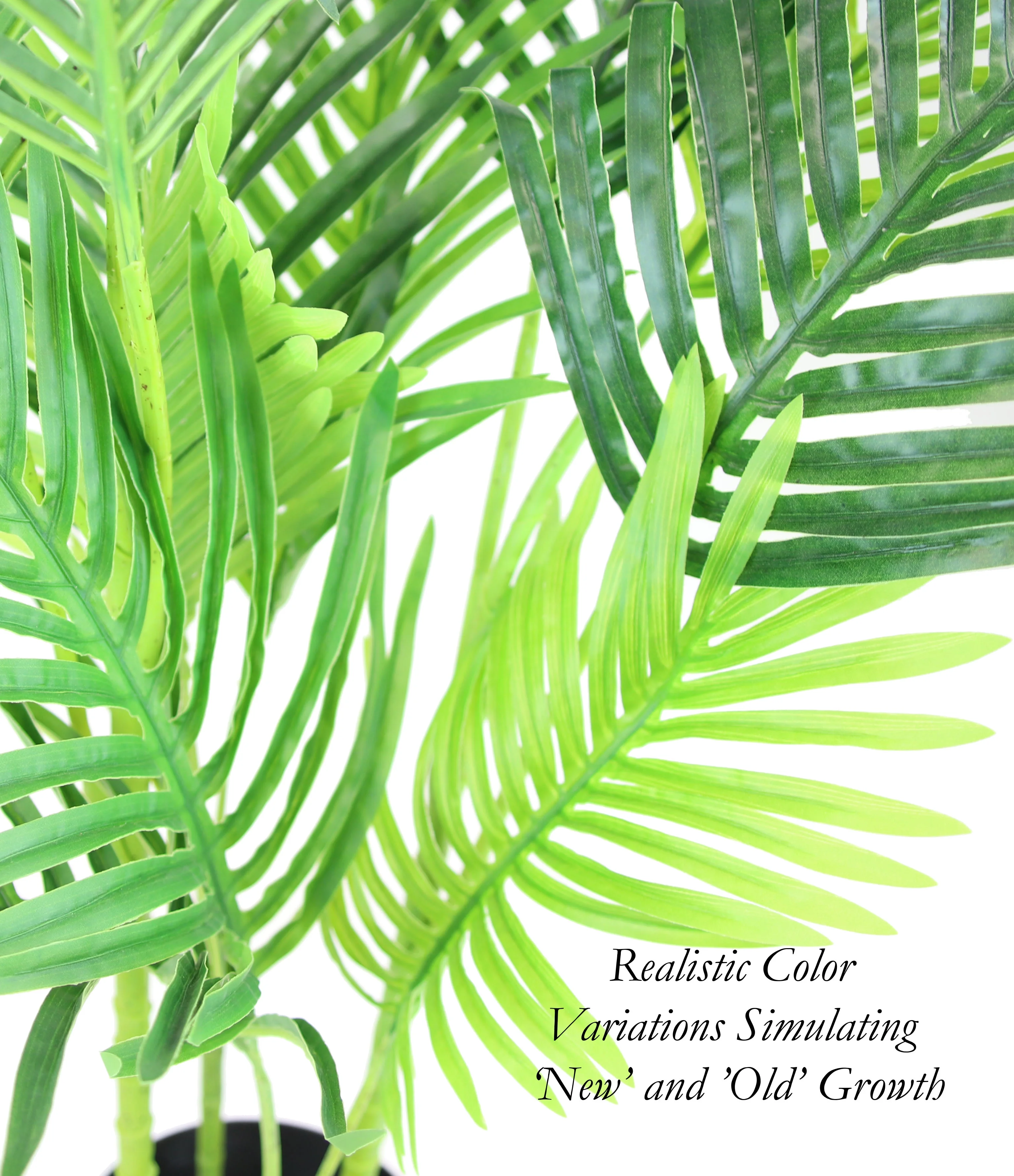 The Mod Greenhouse 42