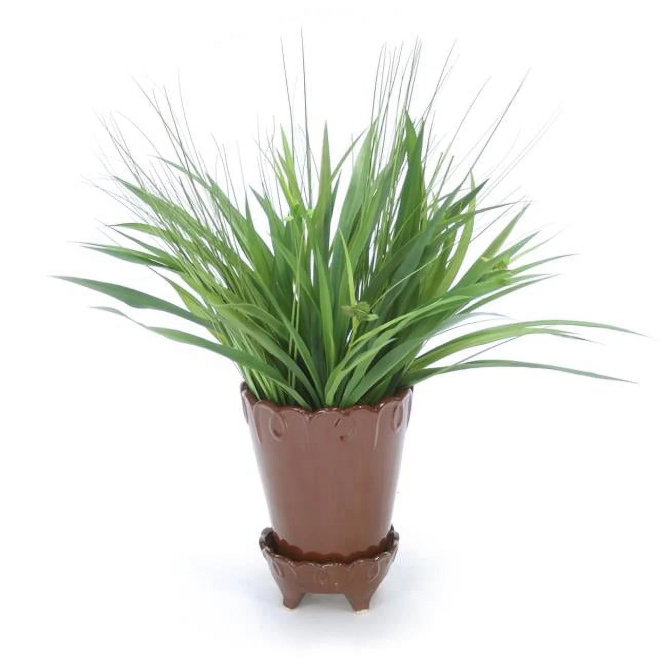 Disttive Designs 3031 Unisex Grass in Chocolate Flower Pot - Green