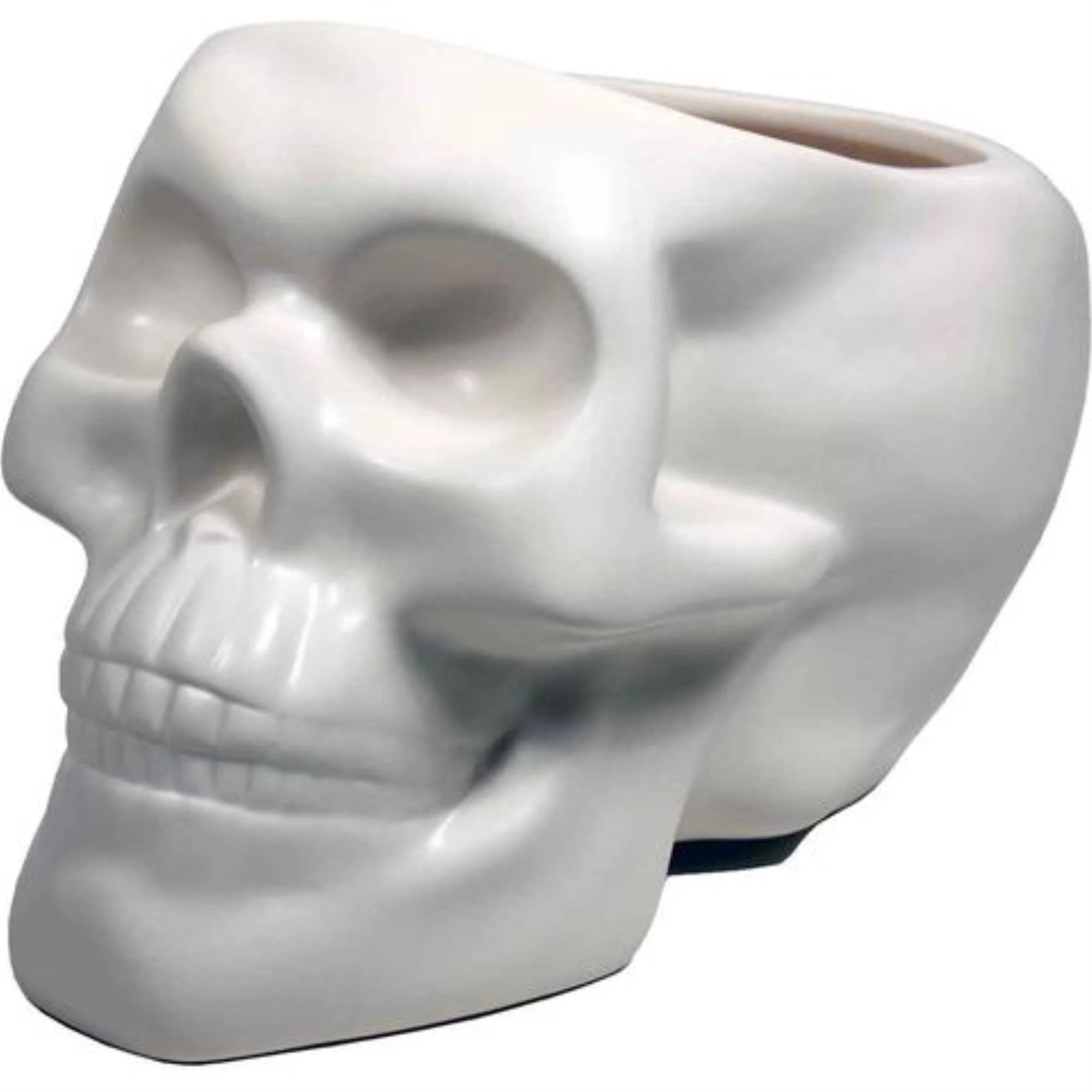 BONE SKULL PLANTER