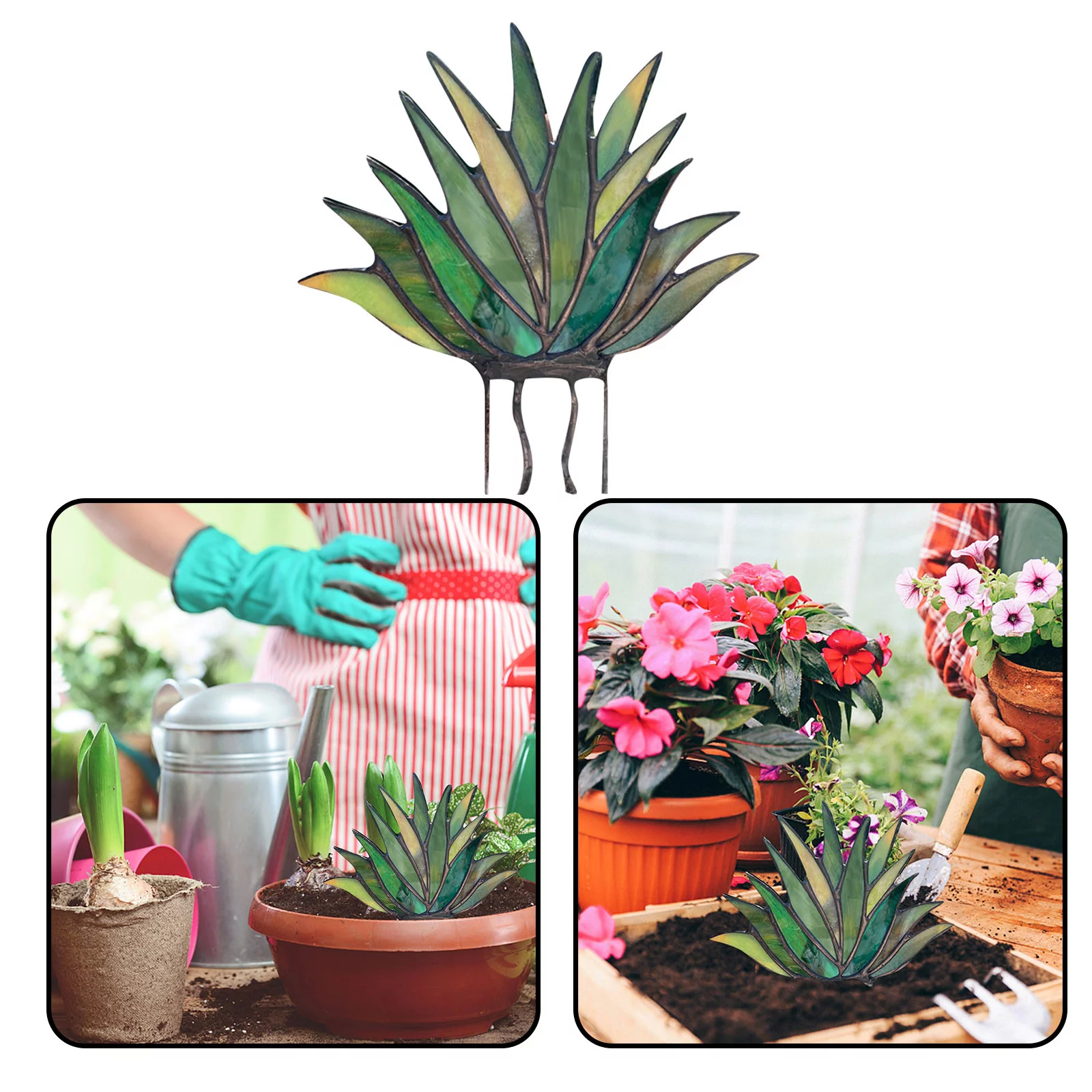 MtsDJSKF Calendar 2024-2025 Planner Largeature Stained Acrylic Lovely Agaves Aloe Potted in Ceramic Stained Agaves Aloe Potted in Terra Cotta Planter Pot *3Pcs