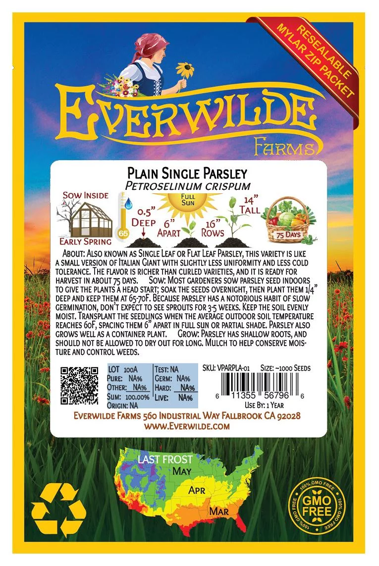 Everwilde Farms - 1000 Plain Single Parsley Seeds - Gold Vault Jumbo Bulk Seed Packet