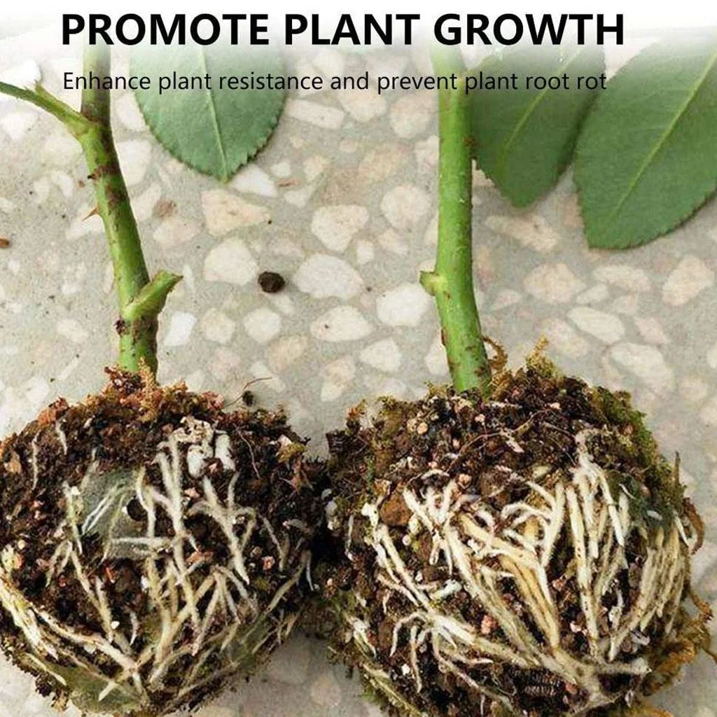 1/3/5/10pcs Plant Rooting Device High Pressure Propagation Ball Graft Box Grow