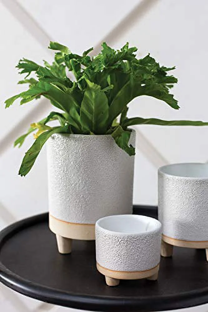 Delray Footed Ceramic Pot for Plant (92093) White Ceramic Pot (5.5
