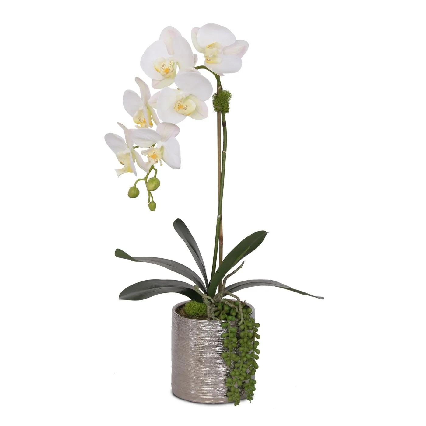 F-122 Real Touch White Orchid with Succulent Arrangement in Round Silver Pot - 12W x 6D x 18H