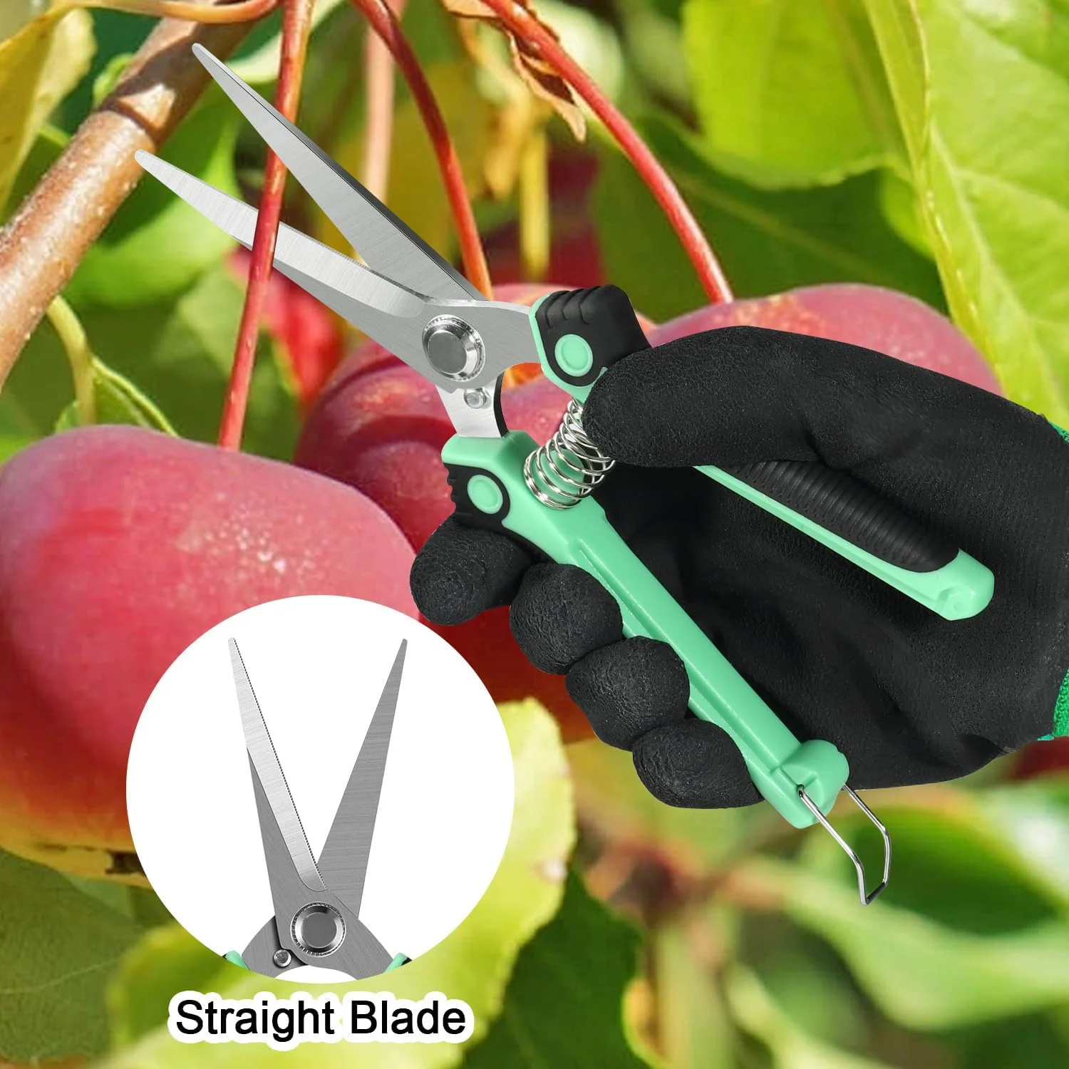 3 Pack Garden Pruning Shears Stainless Steel Blades Handheld Pruners Set with Gardening Gloves