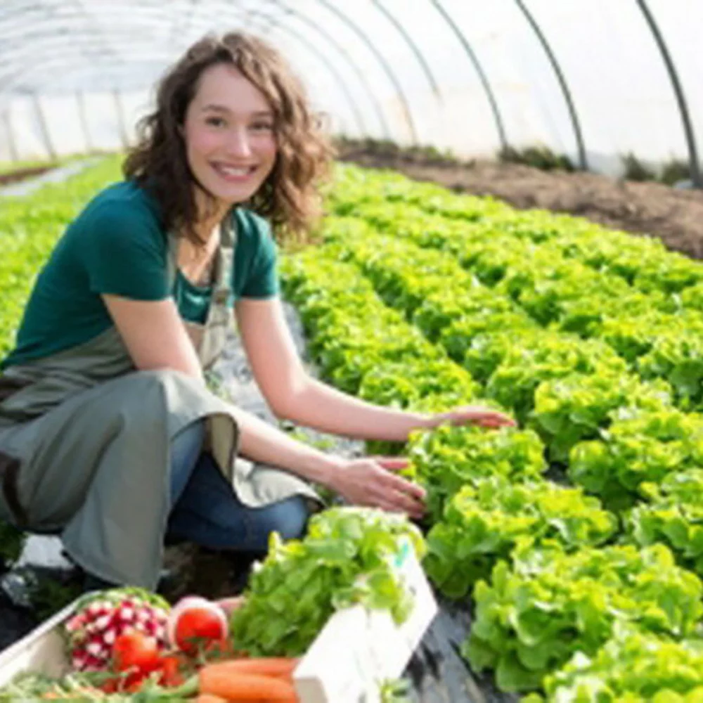 Greenhouse Growhouse Plastic Clear Film Polytunnel Poly Hot House Cover