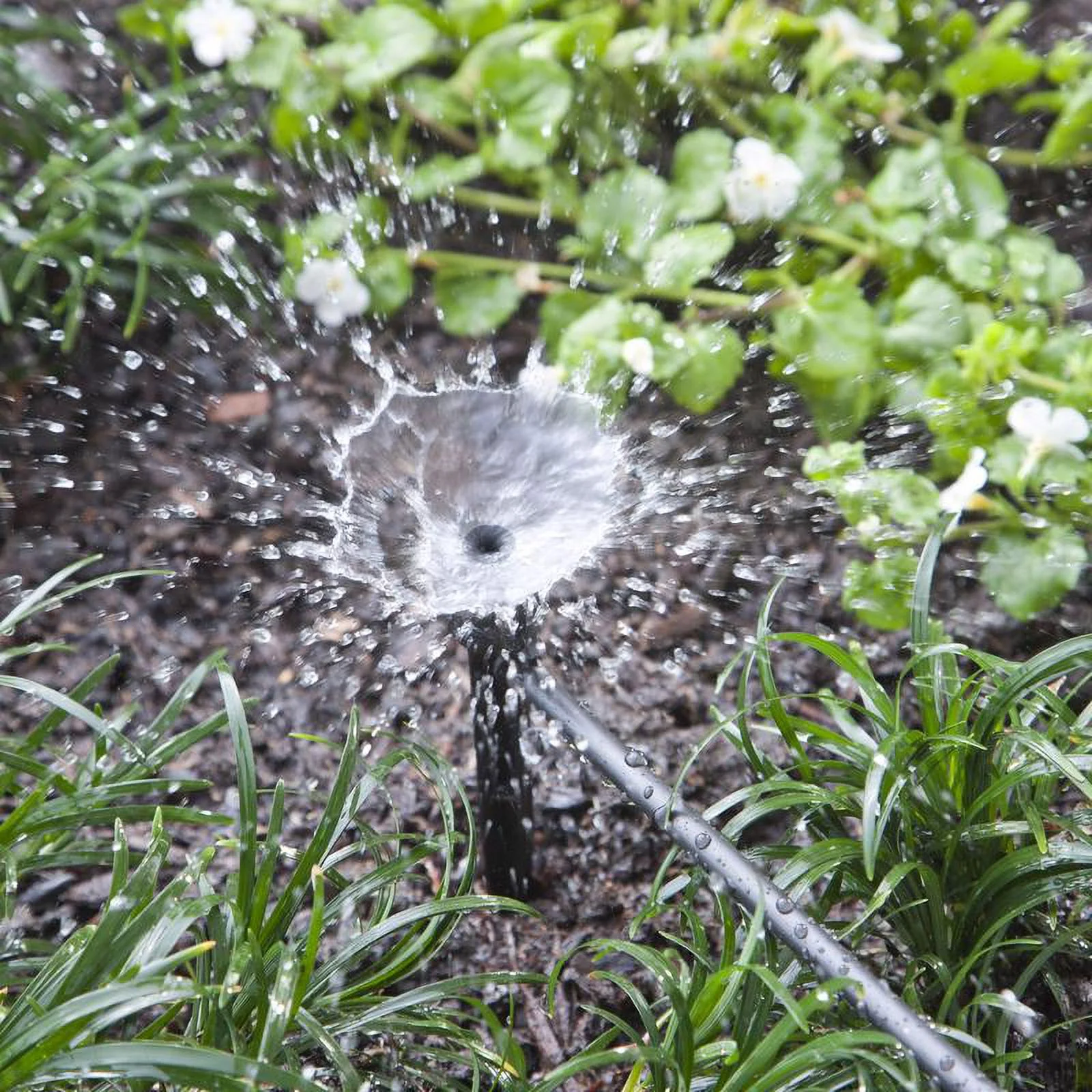 Raindrip  20 gph Full-Circle Drip Irrigation Bubbler