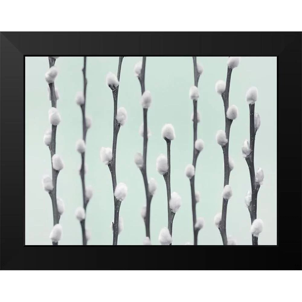 Frank, Assaf 14x12 Black Modern Framed Museum Art Print Titled - Pussy Willow twigs