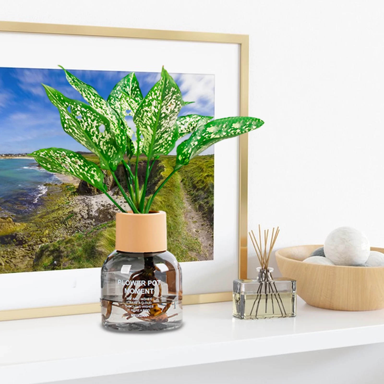 RBCKVXZ Transparent Hydroponic Small Potted Plant Pots, Indoor Living Room Desktop Transparent Hydroponic Plastic Flower Pots Home Decor on Clearance