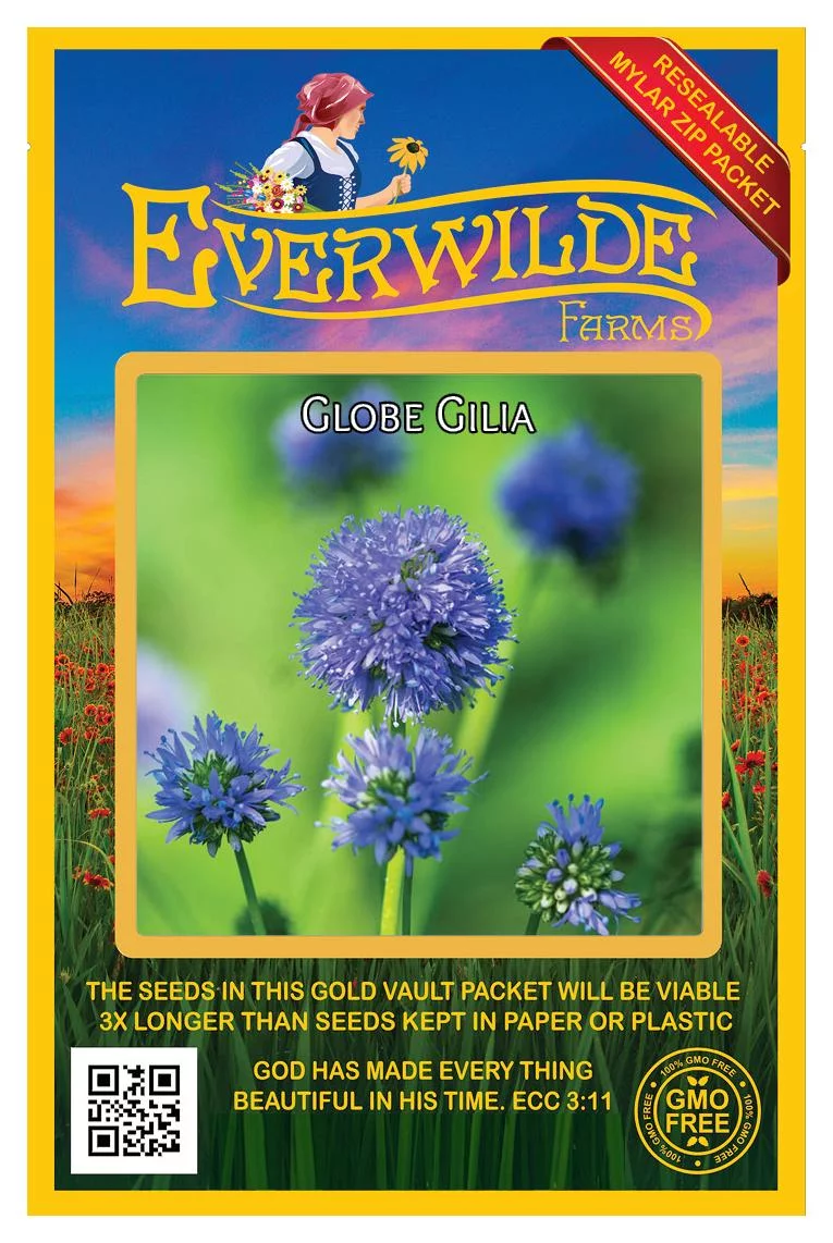 Everwilde Farms - 2000 Globe Gilia Native Wildflower Seeds - Gold Vault Jumbo Bulk Seed Packet