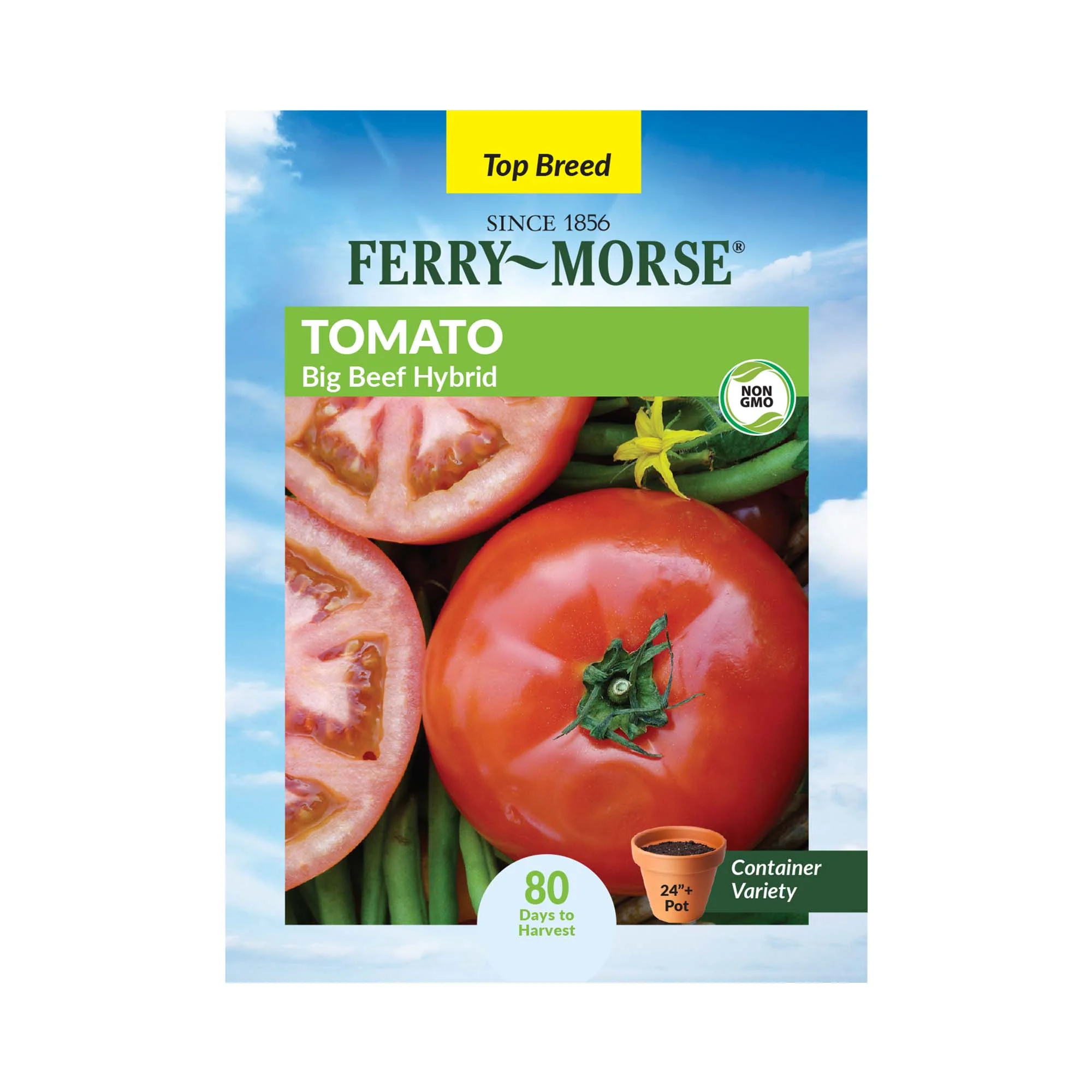 Ferry-Morse 20 PCS Tomato Big Beef Hybrid Vegetable Plant Seeds Full Sun