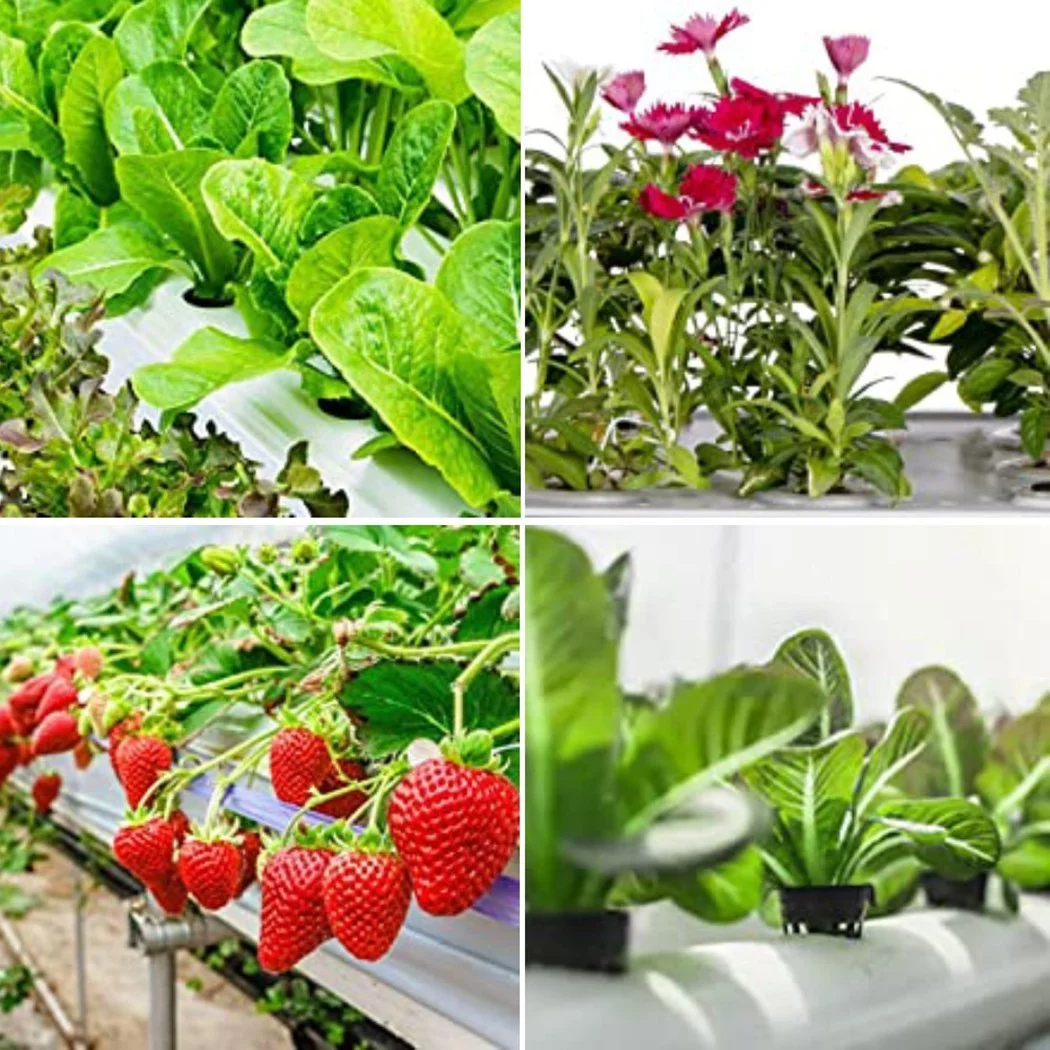 25 Pcs Hydroponic Pot Net Cup Hydroponic Containers Garden Plant Basket