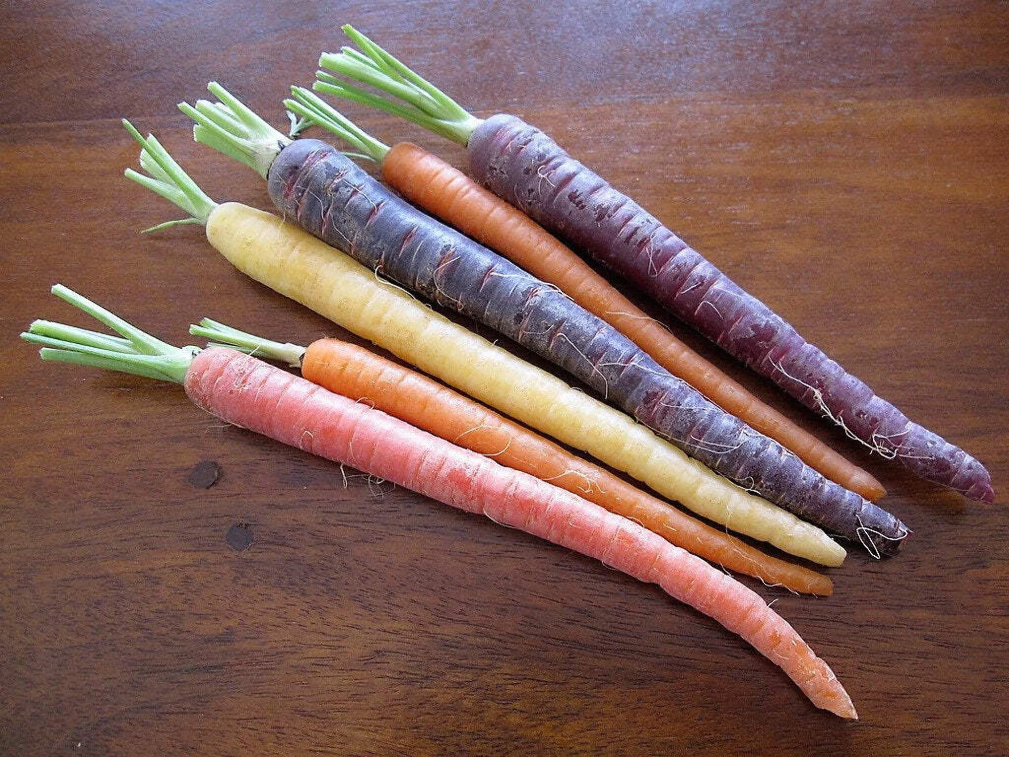 300 BLACK NEBULA CARROT Daucus Carota Root Vegetable Seeds