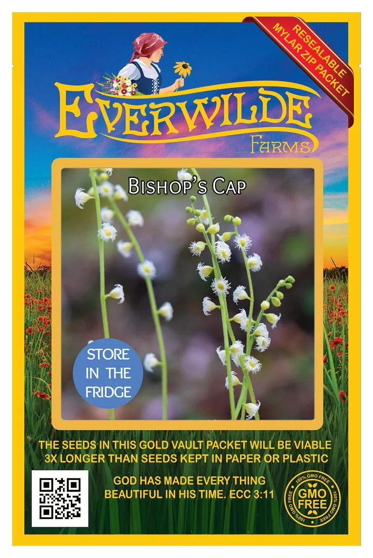 Everwilde Farms - 100 Bishops Cap Native Wildflower Seeds - Gold Vault Jumbo Bulk Seed Packet
