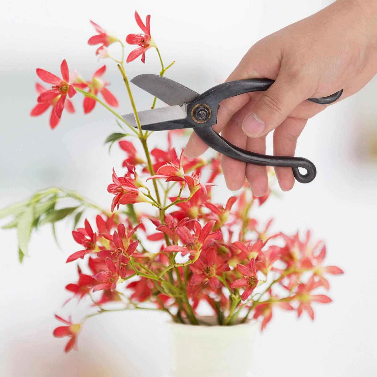 Strong Toughness Steel Bonsai Pruning Scissors Gardening Flower Arranging Tool for Plants and Harvest Herbs, Fruits or Vegetables(Ikebukuro Shears)