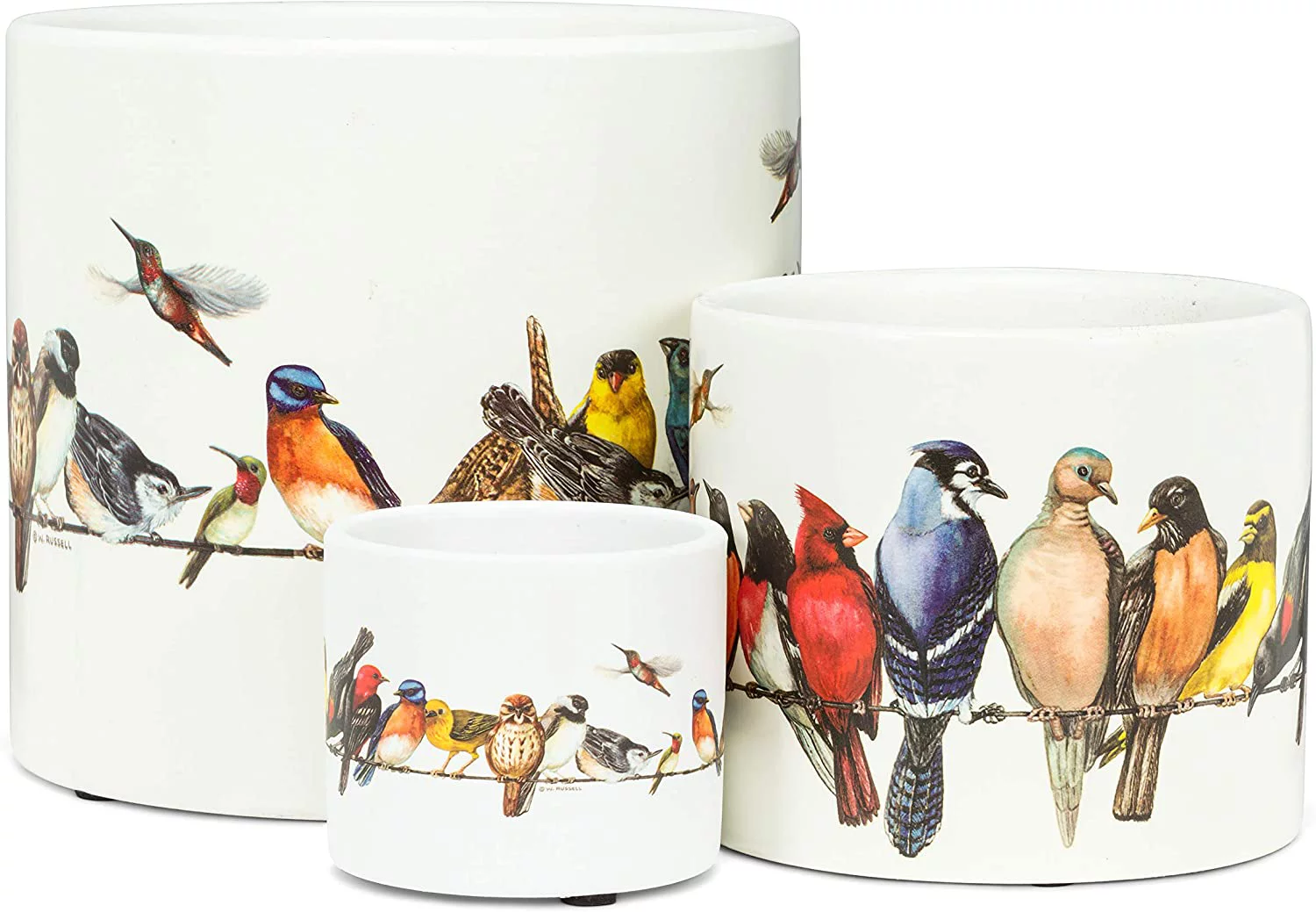 Abbott Collection  3 in. Birds on Wire Planter, Multi - Extra Small