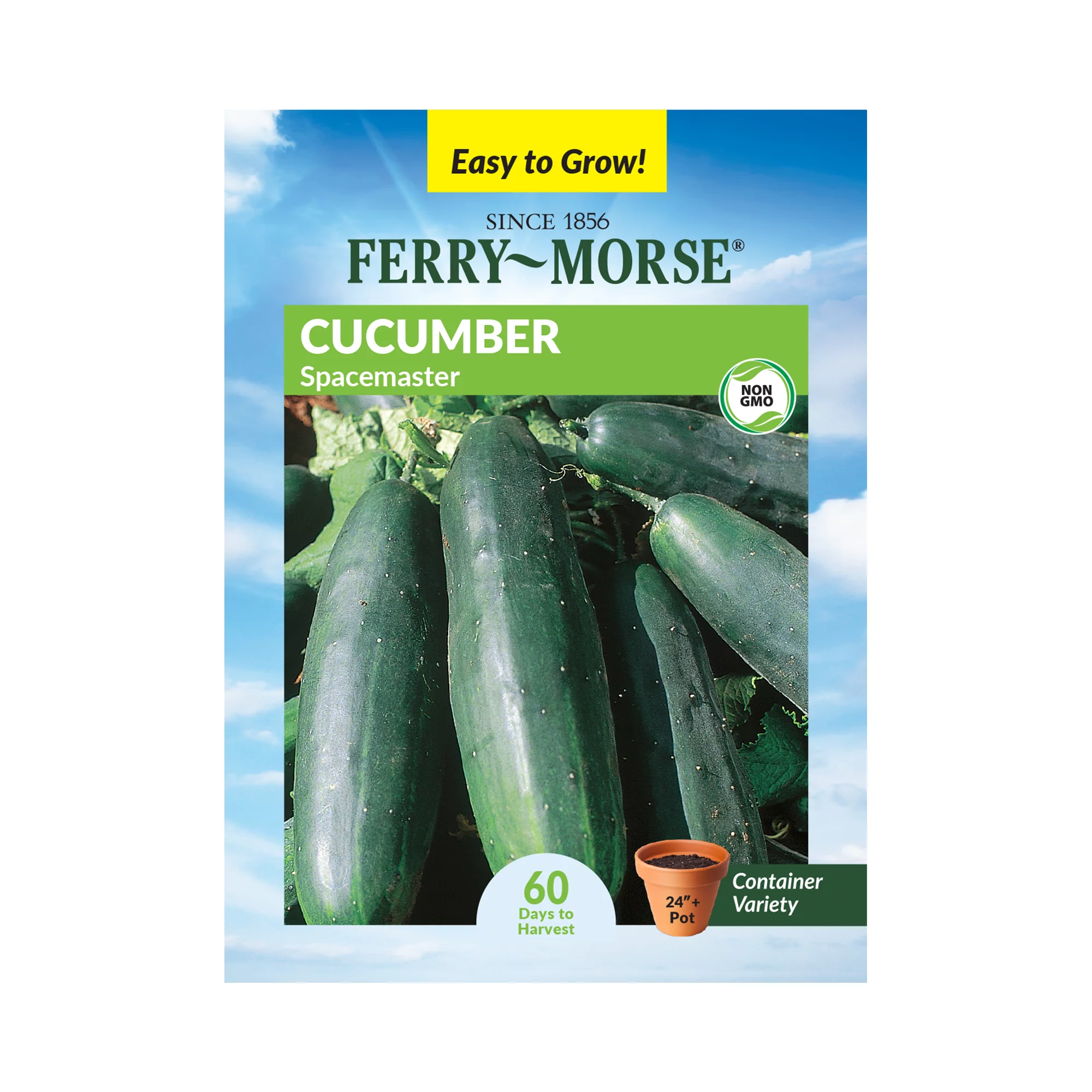Ferry-Morse 670MG Cucumber Spacemaster Vegetable Plant Seeds Full Sun
