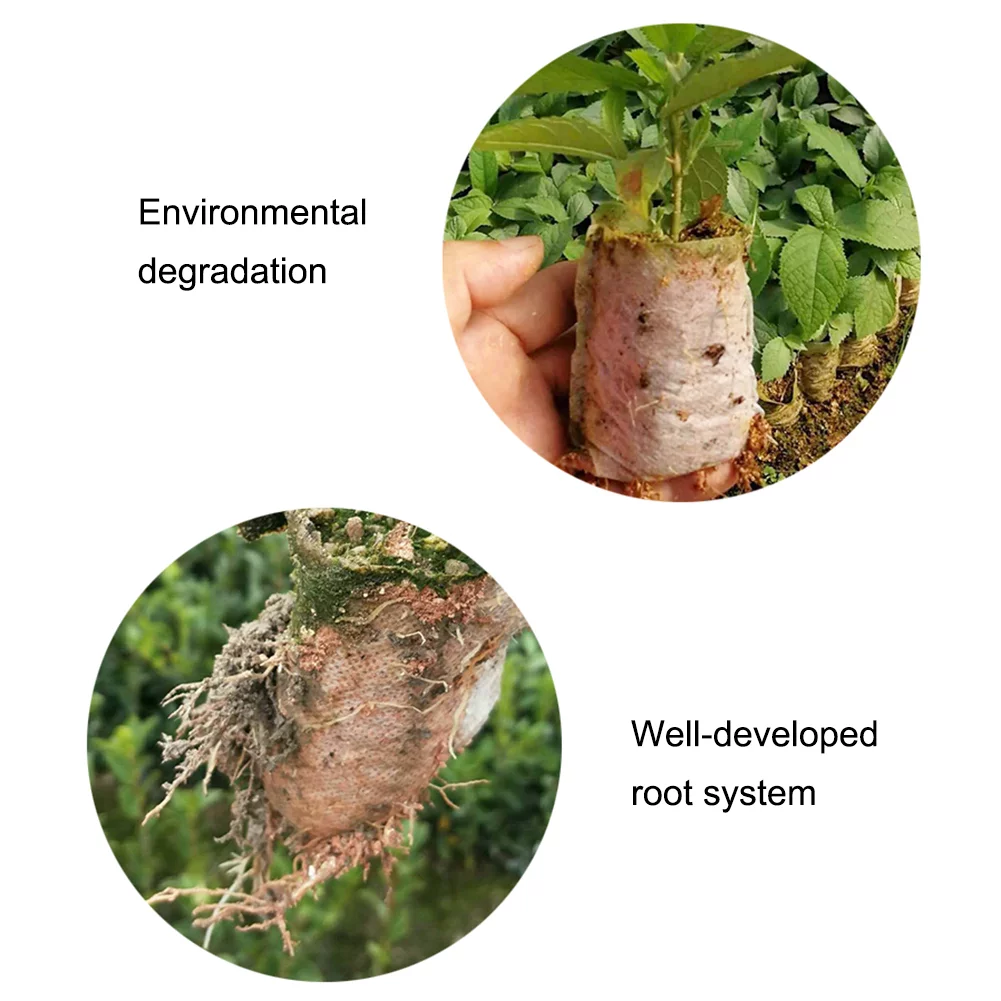 CreativeArrowy 100 Pcs Non-Woven Nursery Bags Solid Plants Grow Bags Seed Starter Bags Fabric Seedling Pots Plants Pouch 28*30cm