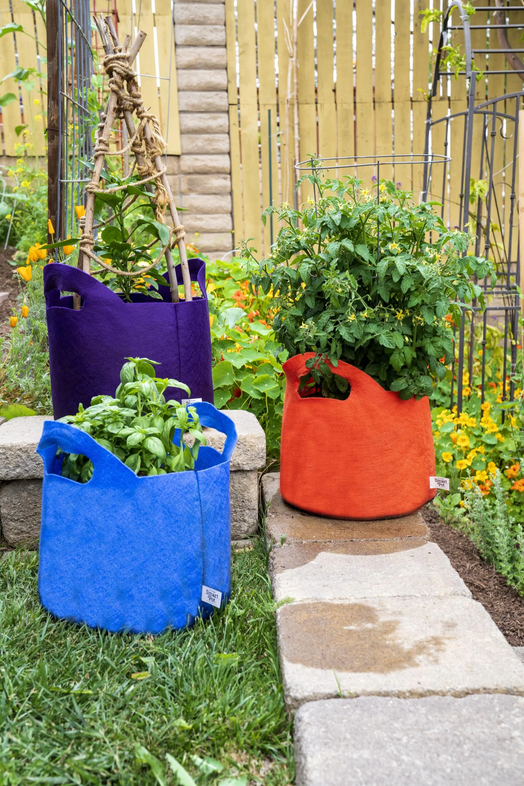 SMART POT 10 Gallon Fabric Grow Bag w/cut handles - Violet