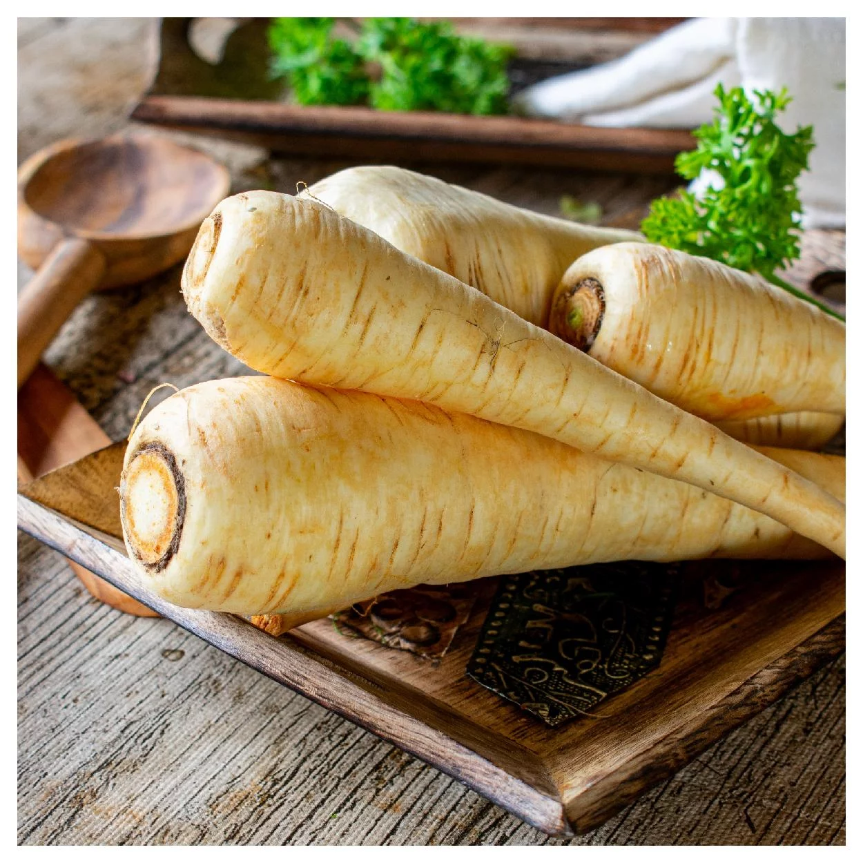Everwilde Farms - 2000 All American Parsnip Seeds - Gold Vault Jumbo Bulk Seed Packet