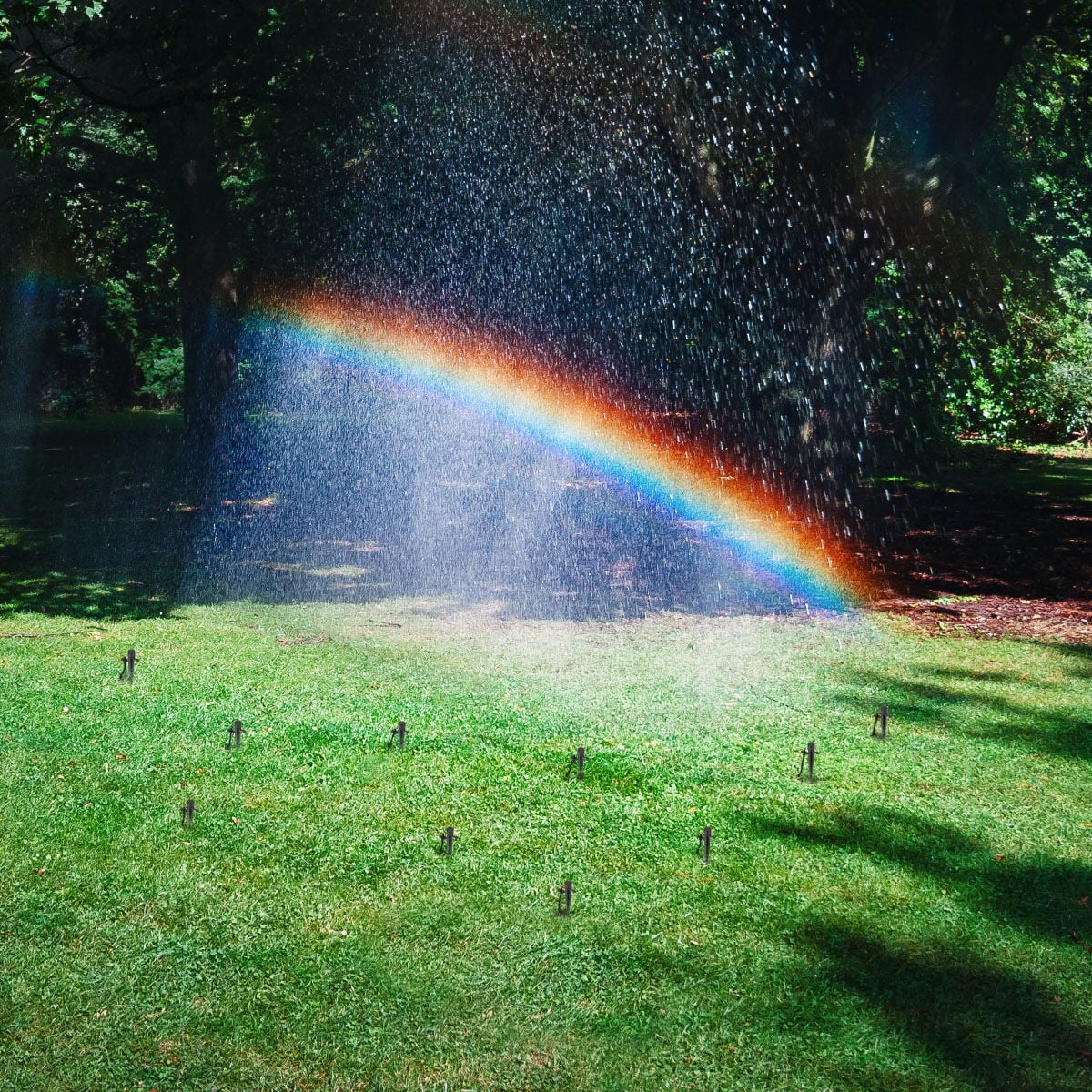 Deago 50PCS Adjustable 360 Degree Water Flow Irrigation Drippers on Stake Emitter Drip System for Garden Patio Lawn Flower