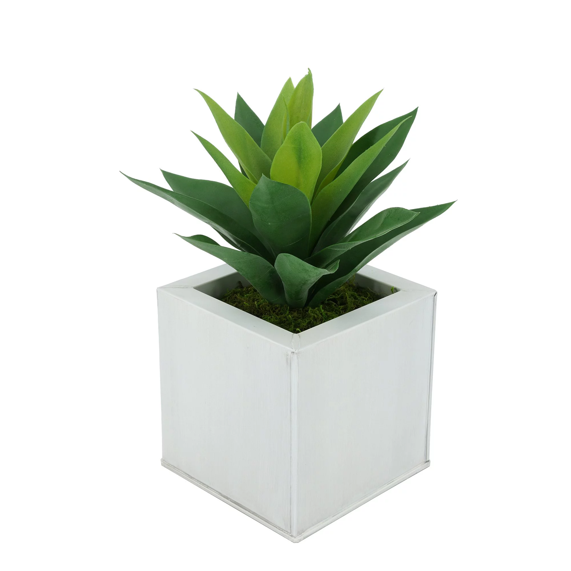 House of Silk Flowers Faux Frosted Light Green Succulent in Square Zinc Pot (Cream)