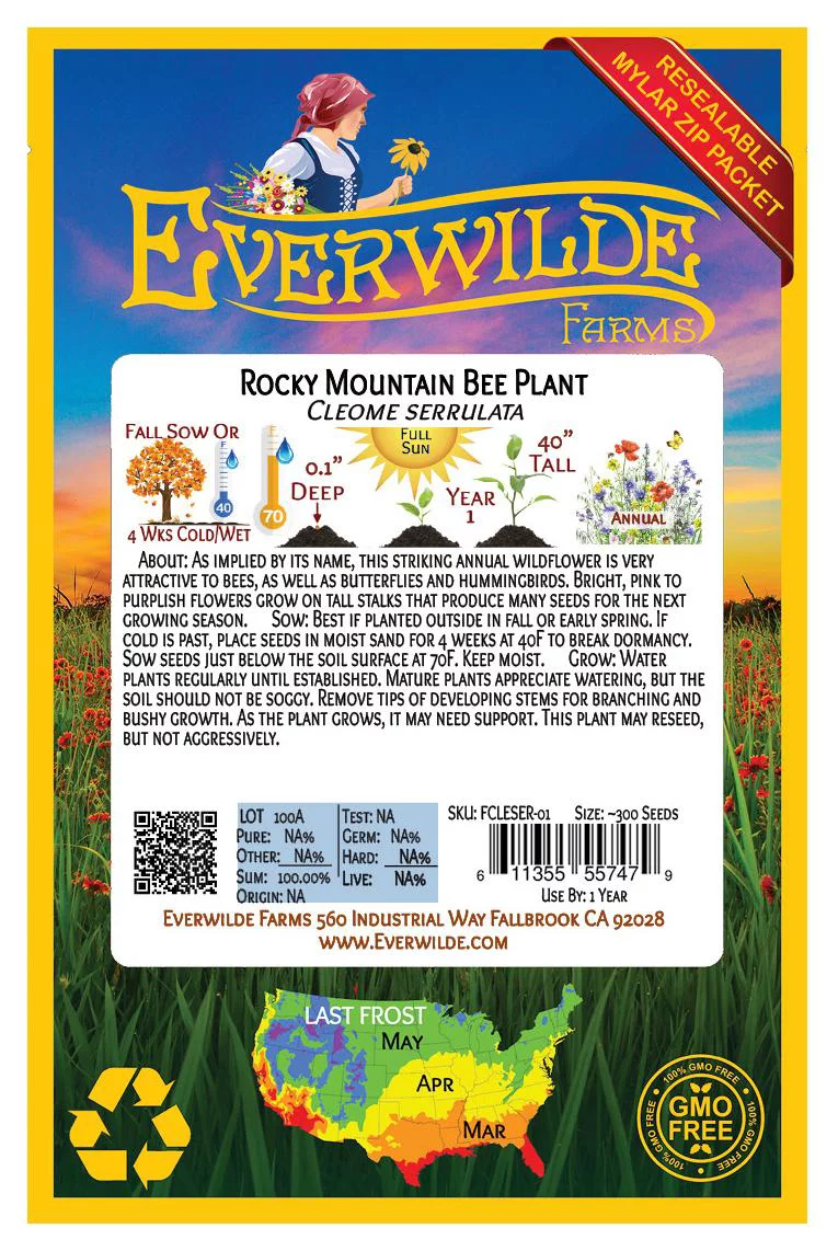 Everwilde Farms - 300 Rocky Mountain Bee Plant Native Wildflower Seeds - Gold Vault Jumbo Bulk Seed Packet