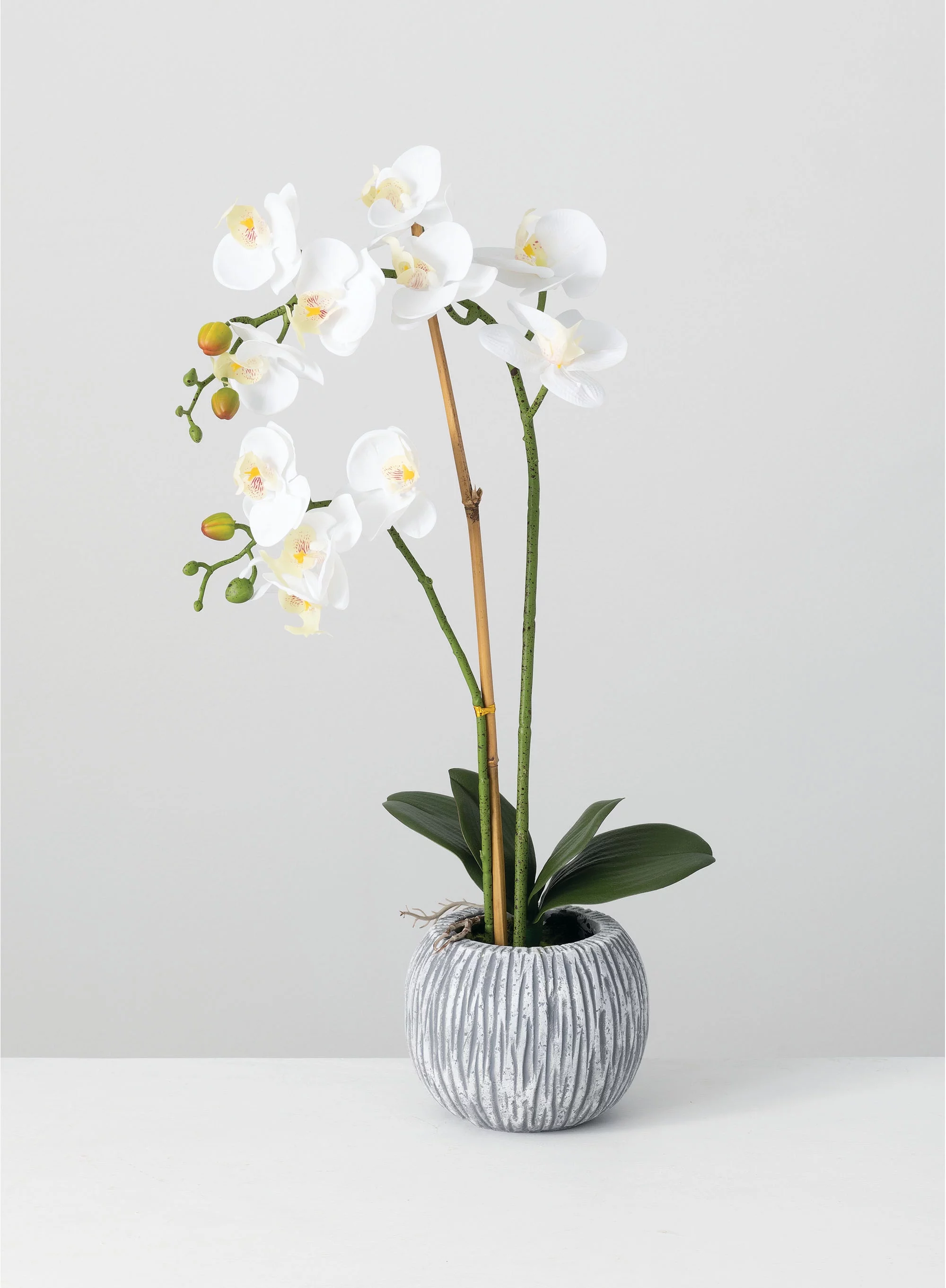 Sullivans Artificial Potted Orchid 24.5