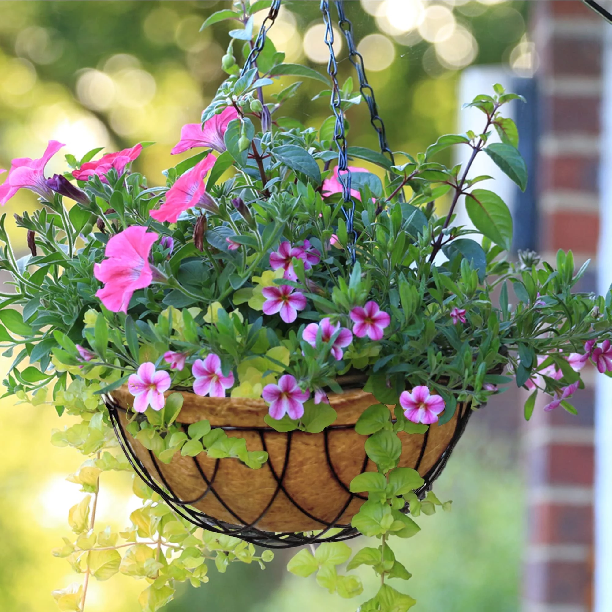 Palm Naki 8 Coconut Coir Hanging Planter Liners Set of 4 - Hanging Plant Pot Liners, Plant Basket Liners, Coco Coir Replacement Liner for Outdoor Hanging Baskets