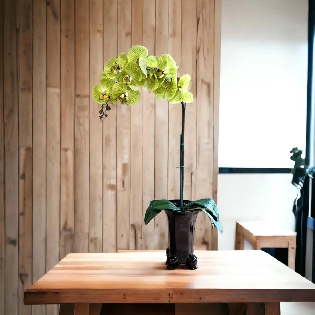 Pixies Gardens Stunning Artificial Orchids Without Pot Olive 1 Stem