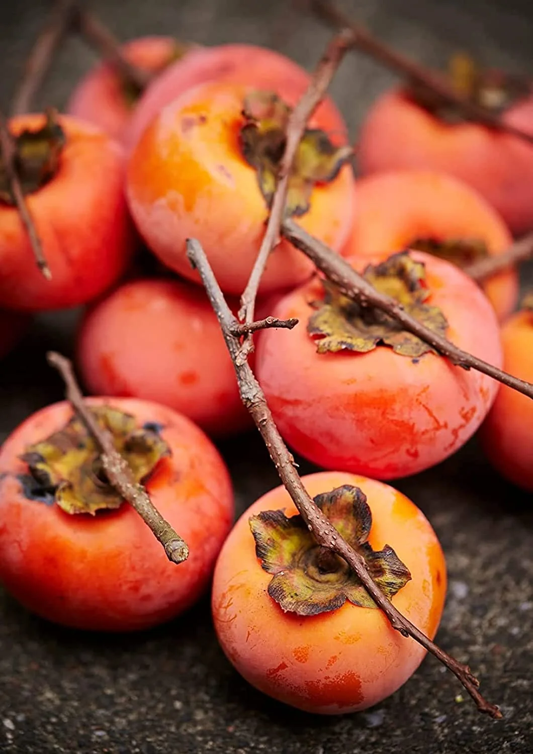 Persimmon Tree Seeds - 50 Pcs, Made in USA, Ships from Iowa - Ideal Outdoor Bonsai