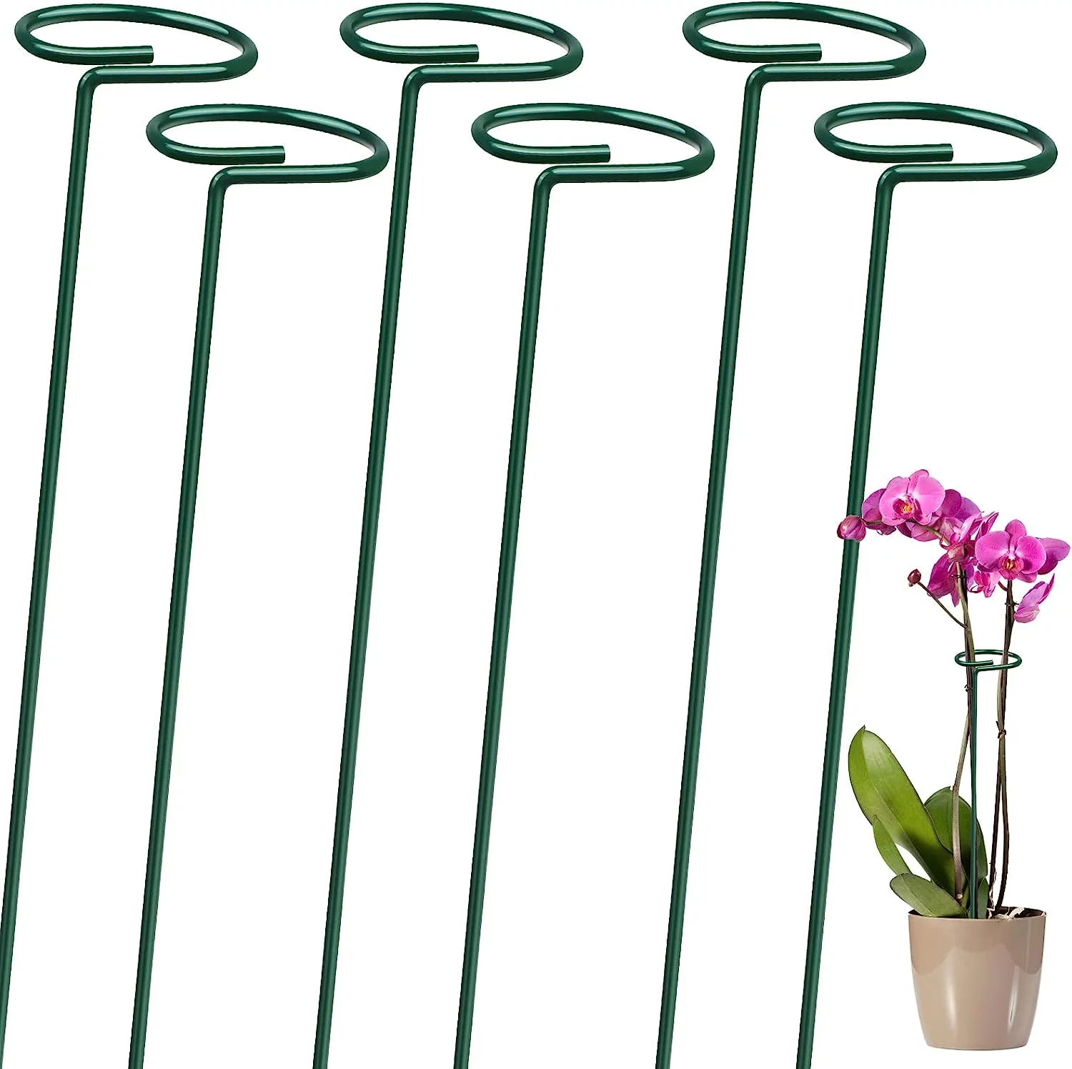Fymlhomi 6 Pack Plant Stakes for Flowers, Metal Single Stem Plant Support, Garden Plant Stakes for Amaryllis Orchid Lily Rose Tomatoes, Dark Green, 40.5 CM/15.9 INCH