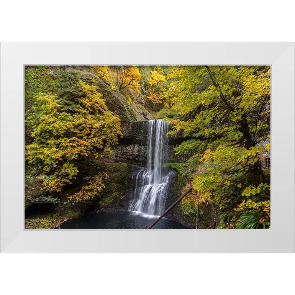 Jaynes Gallery 14x11 White Modern Wood Framed Museum Art Print Titled - USA-Oregon-Silver Falls State Park Lower South Falls waterfall landscape