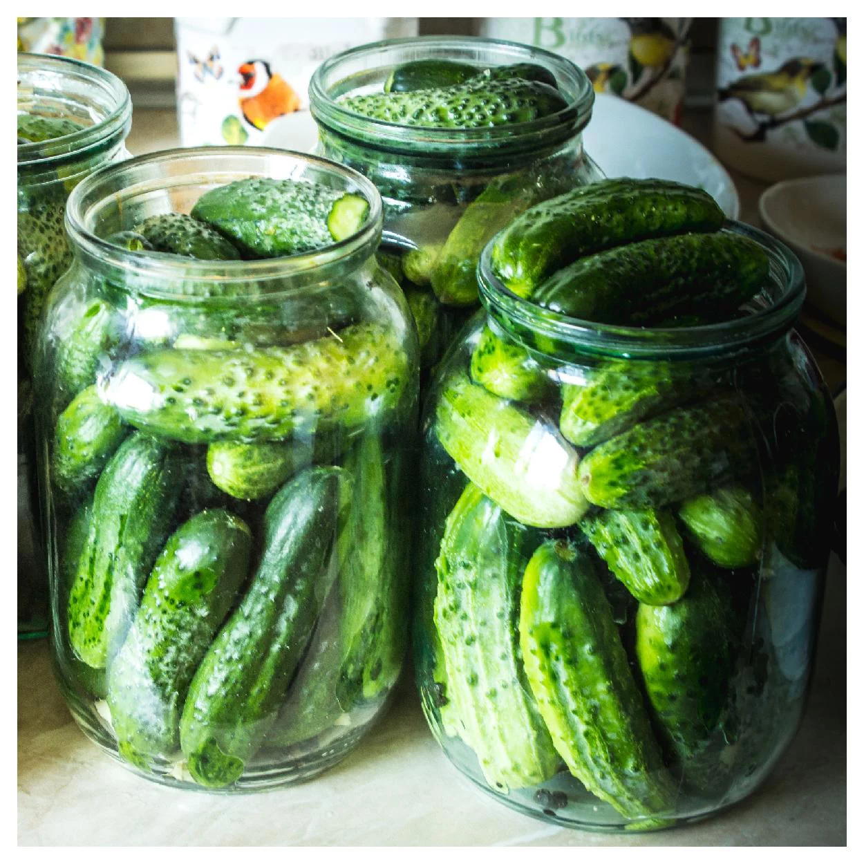 Everwilde Farms - 100 Boston Pickling Cucumber Seeds - Gold Vault Jumbo Bulk Seed Packet