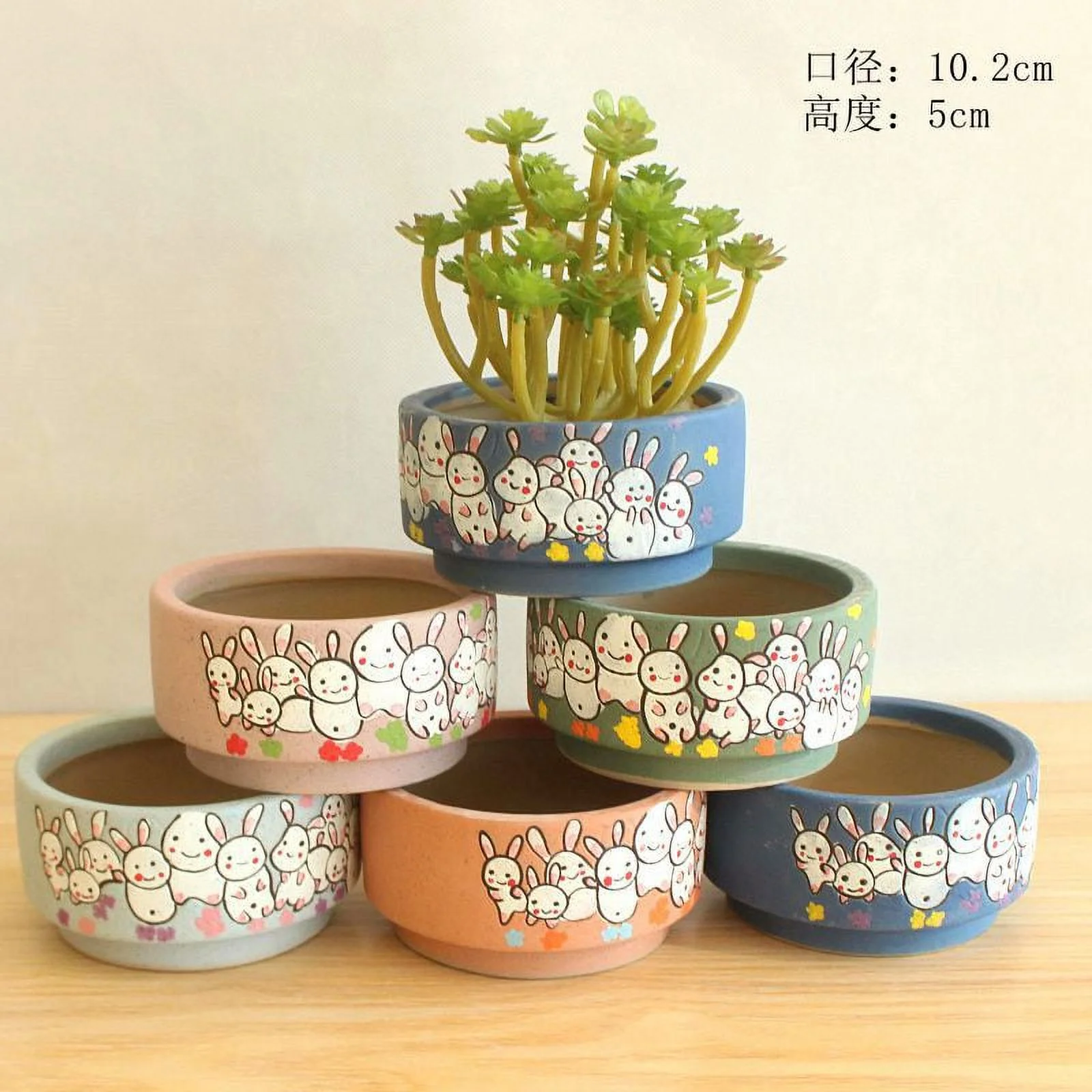 Hand-painted Rabbit Succulent Planter - Korean Style Ceramic Flower Pot for Desktop