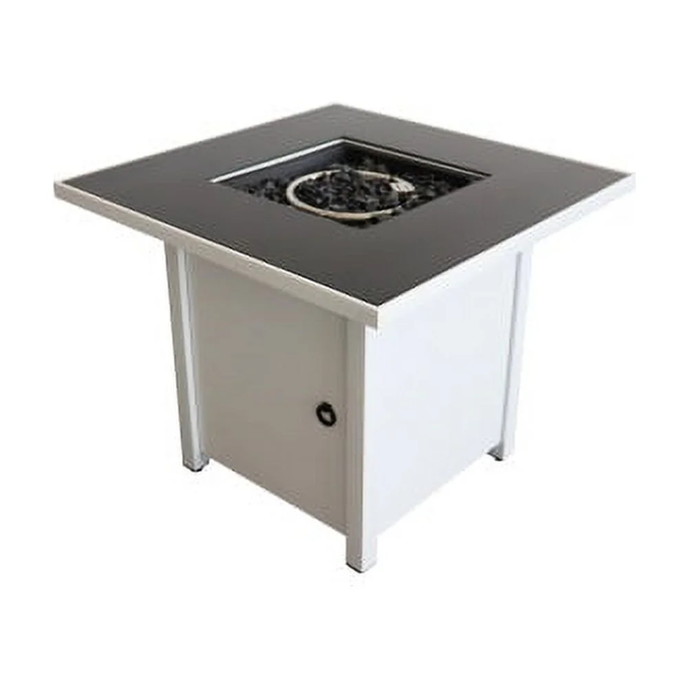 Living Source International 30 Inch White Steel Propane/natural Gas Firepit Table