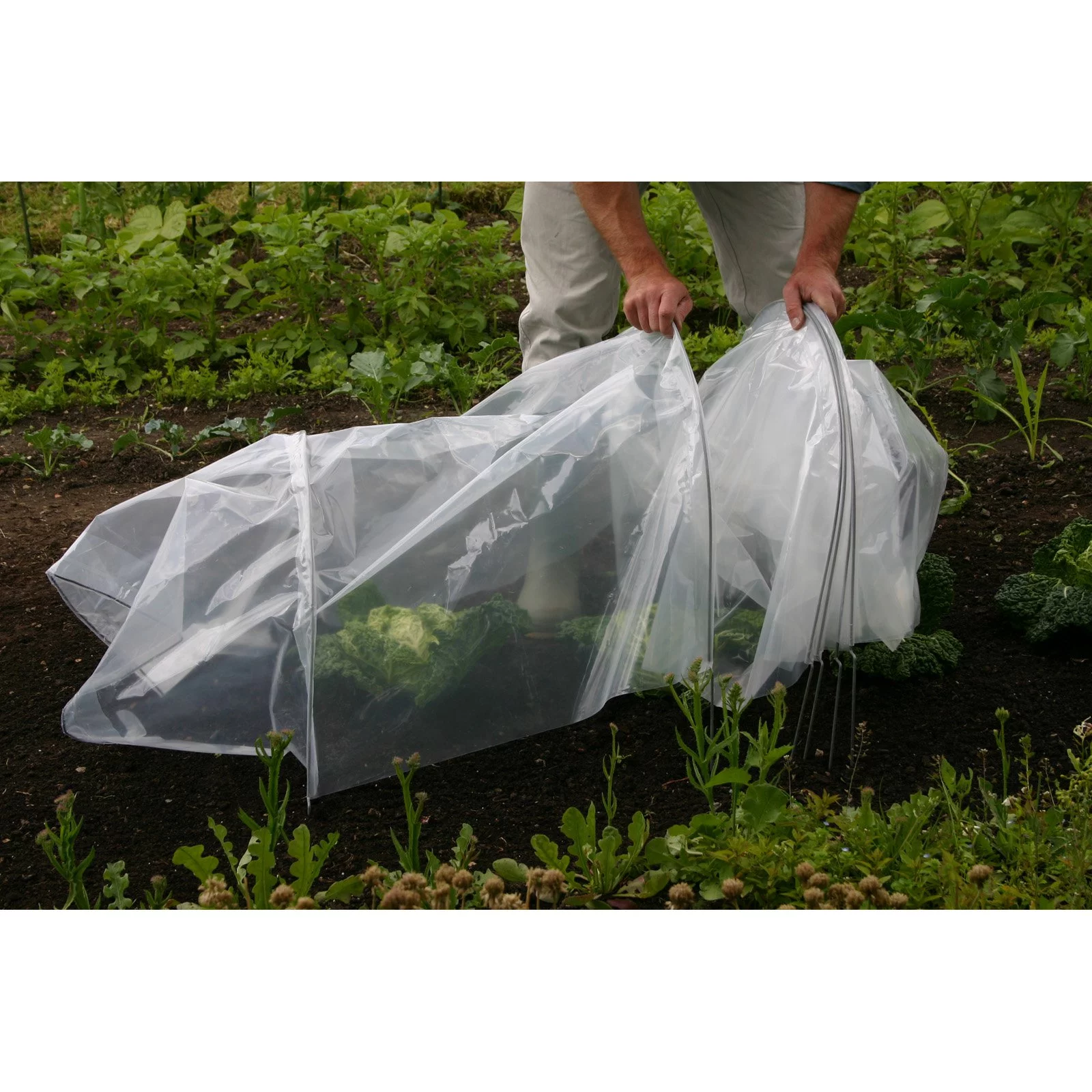 Tierra Garden Haxnicks Giant Easy Poly Tunnel