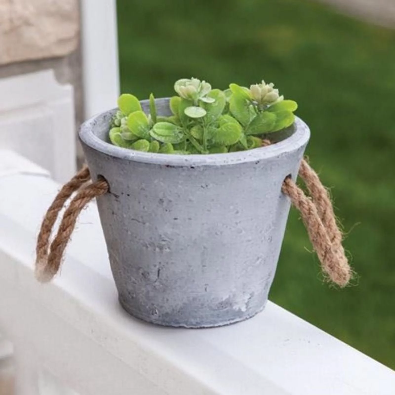 Medium Cement Planter With Jute Handles (Pack of 4)