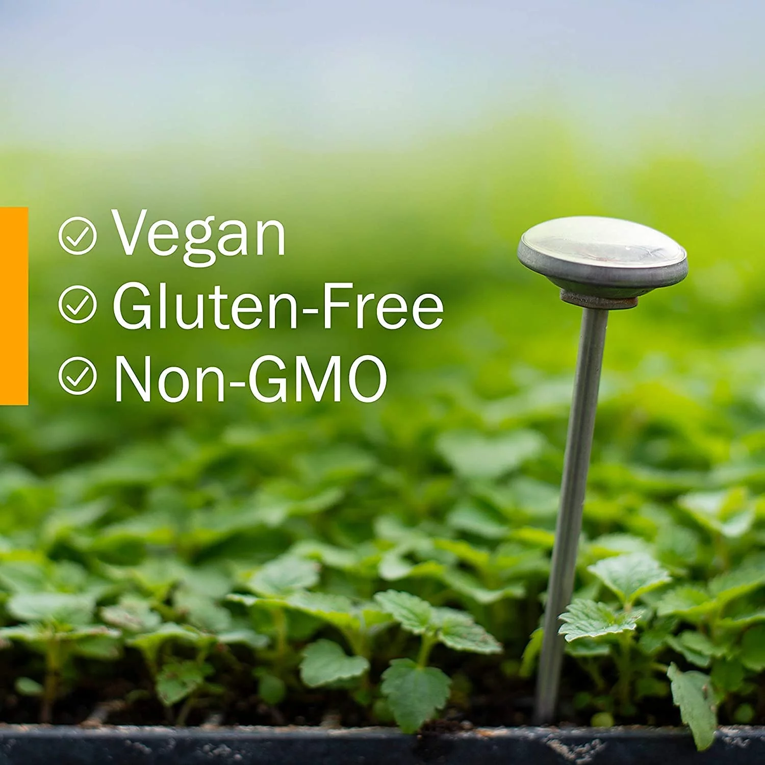 Herb Pharm Fenugreek 4 oz DFENU04 ME