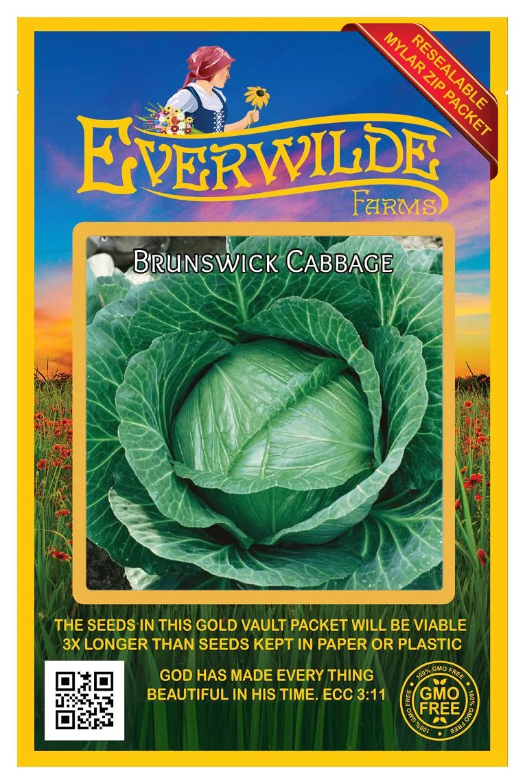Everwilde Farms - 500 Brunswick Cabbage Seeds - Gold Vault Jumbo Bulk Seed Packet