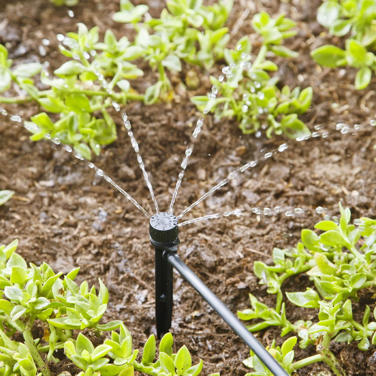 National Diversified Sales 7011659 Raindrip Half-Circle Drip Irrigation Bubbler